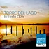 Roberto Olzer - Torre Del Lago