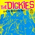 The Dickies - Live In Winnipeg 1982