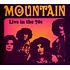 Mountain - Live In The 70s