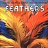 Greg Foat & Eero Koivistoinen - Feathers