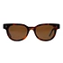 Conquistador Sunglasses (Tortoise Shell)