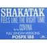 Shakatak - Feels Like The Right Time