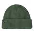 Snowdrifter Beanie (Pine Needle Green)