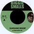 The Notorious B.I.G. / Biggie Smalls / 2Pac - Sunshine Biggie (A Don Mash Up) / Thug Stylin' (A Don Mash Up)