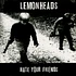 The Lemonheads - Hate Your Friends