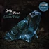 Greg Foat - The Glass Frog