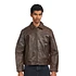 Eddy Rider Leather Jacket (Brown)