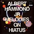 Albert Hammond Jr. - Melodies On Hiatus