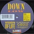 Down Low - Vision Of Life