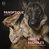 Panoptique / United Assholes - Objectif Jeune - Là, Les Chachats, Là, Les Chienchiens