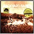 Backyard Babies - People Like People Like People Like Us Record Store Day 2025 Yellow Vinyl Edtion