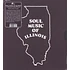 V.A. - Soul Music Of Illinois - An Illustrated Catalog Of Records