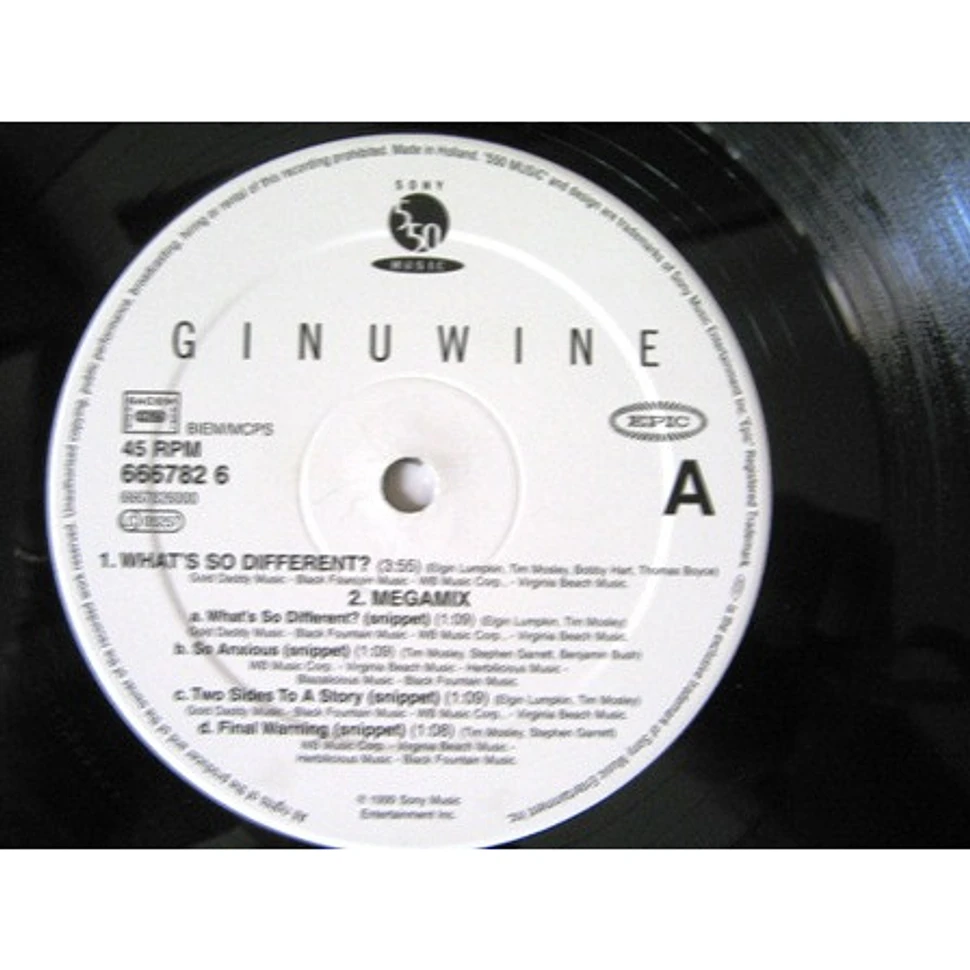 Ginuwine - What's So Different?