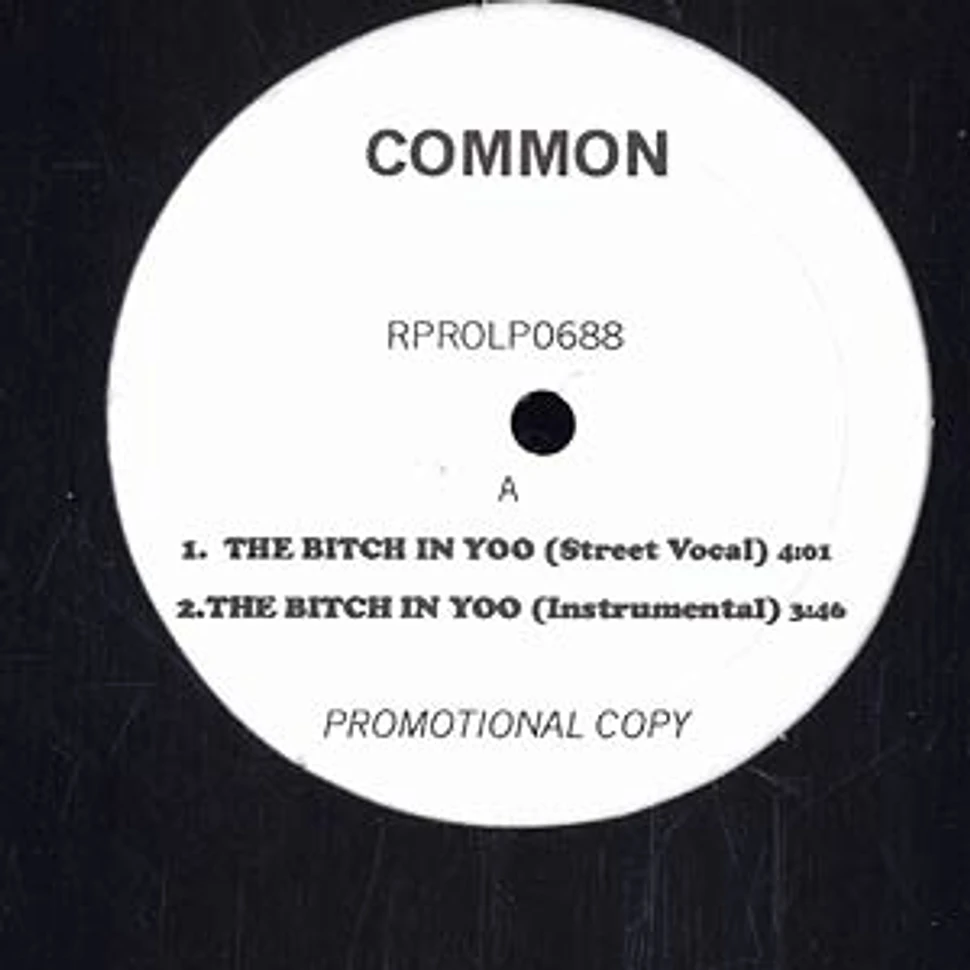 Common - The bitch in yoo