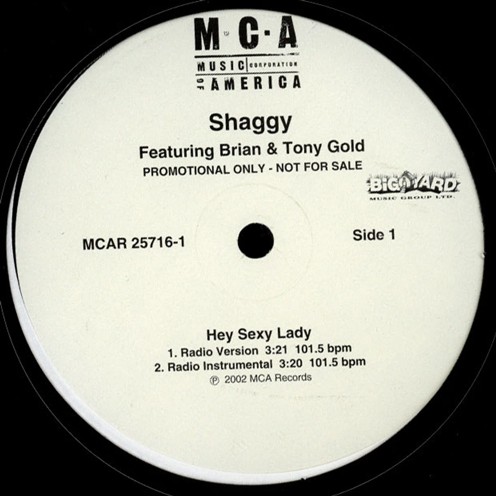 Shaggy Featuring Brian & Tony Gold - Hey Sexy Lady