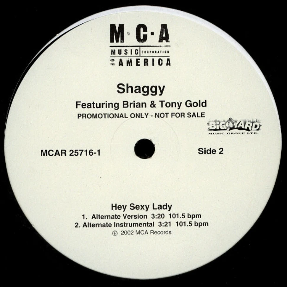 Shaggy Featuring Brian & Tony Gold - Hey Sexy Lady