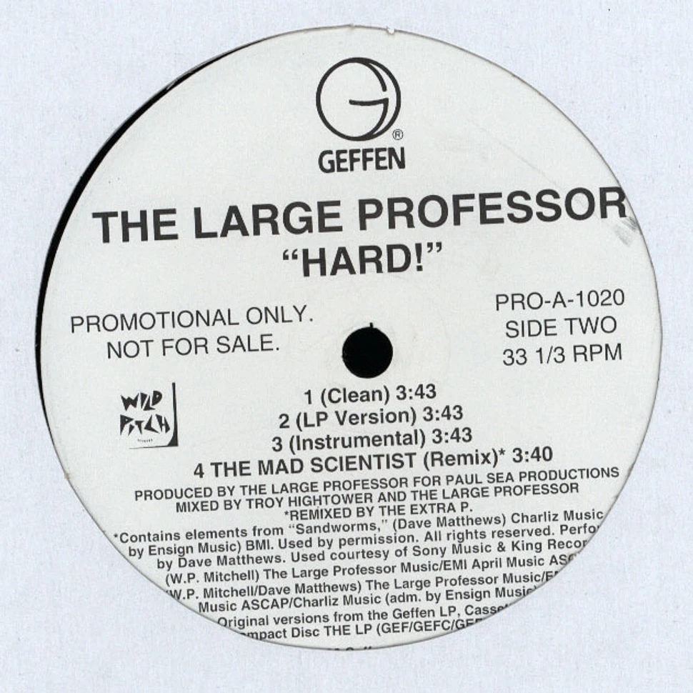 Large Professor - I juswannachill / Hard