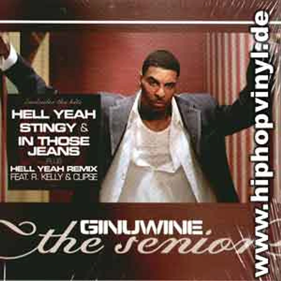 Ginuwine - The senior