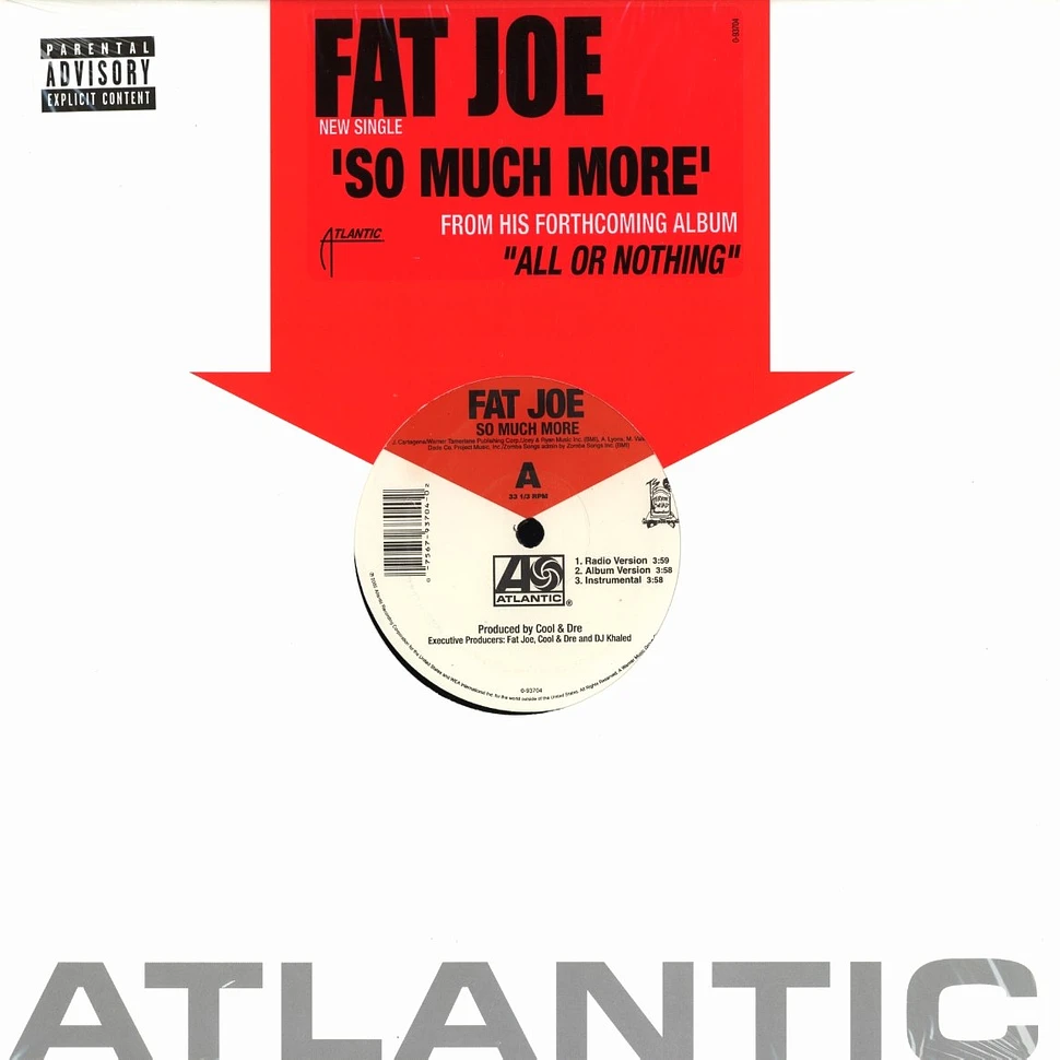 Fat Joe - So much more