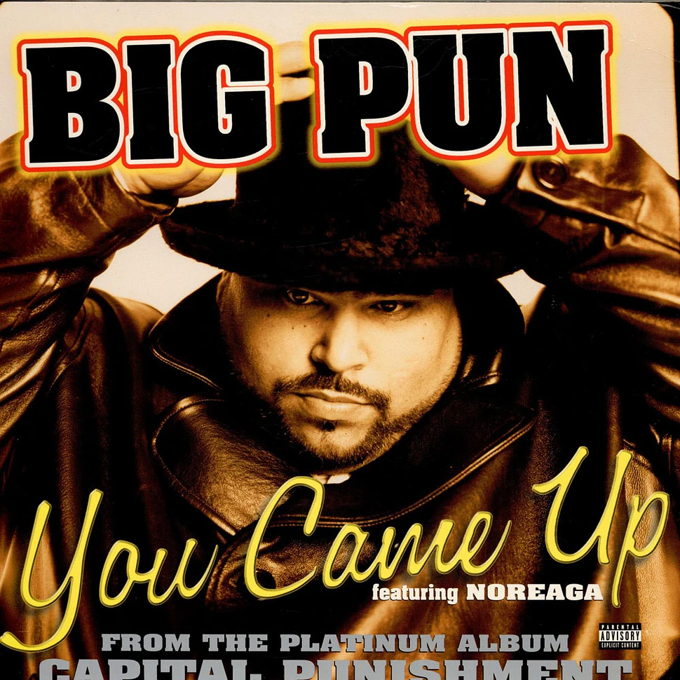 Big Punisher - You Came Up