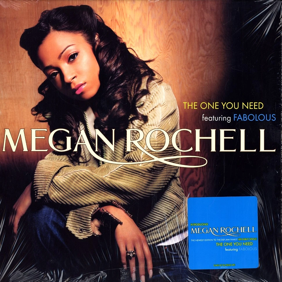 Megan Rochell - The one you need feat. Fabolous