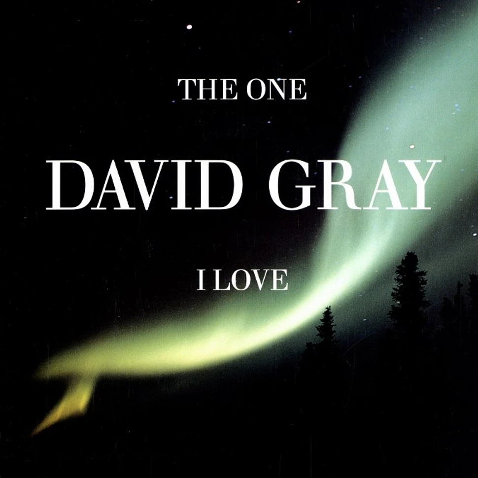David Gray - The one i love