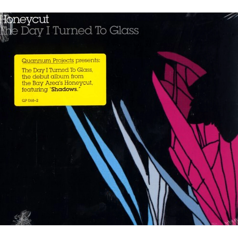 Honeycut - The day i turned to glass