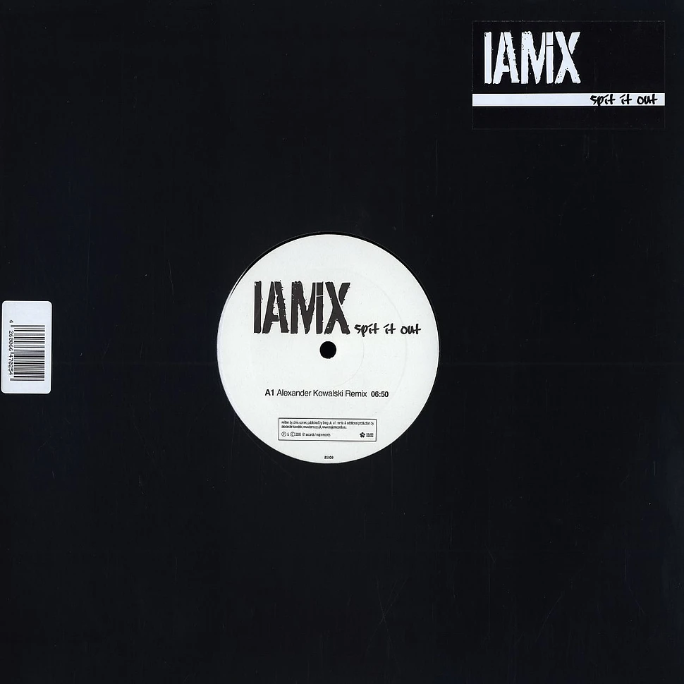 Iamx - Spit it out Alexander Kowalski remix