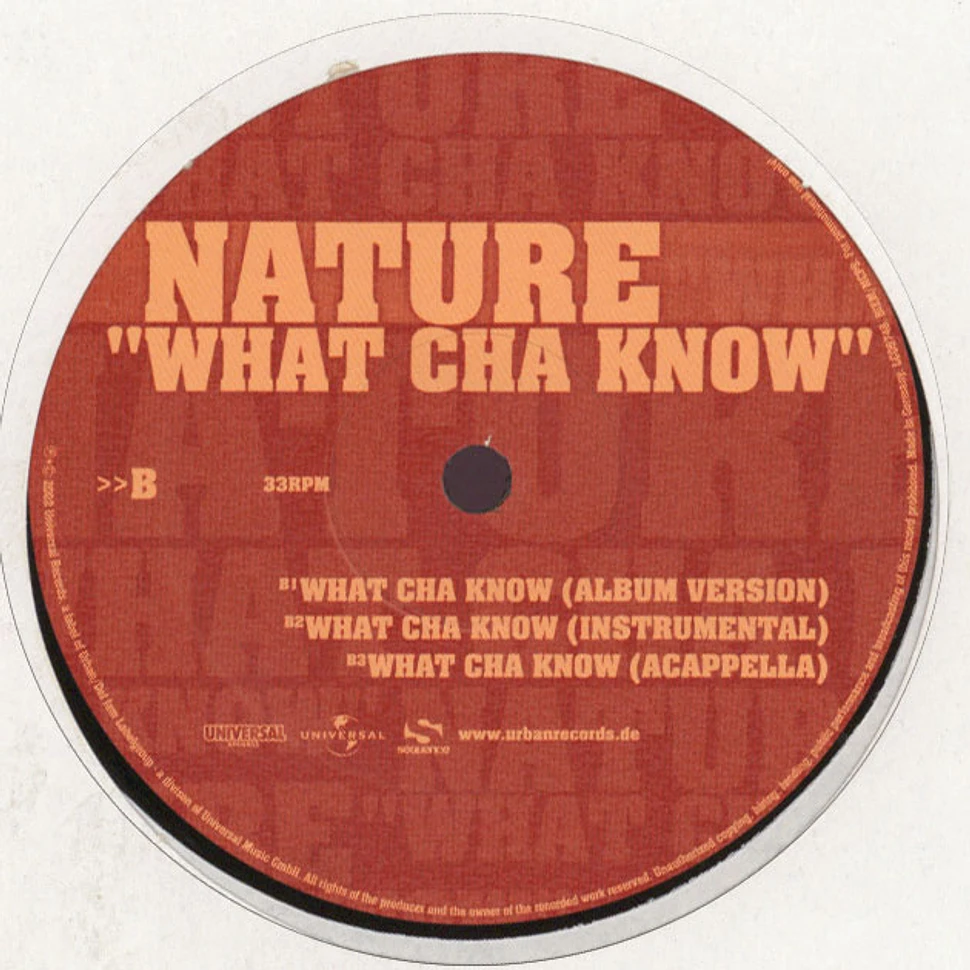 Babu Feat. The Beatnuts & Al' Tariq / Nature - Duck Season / What Cha Know