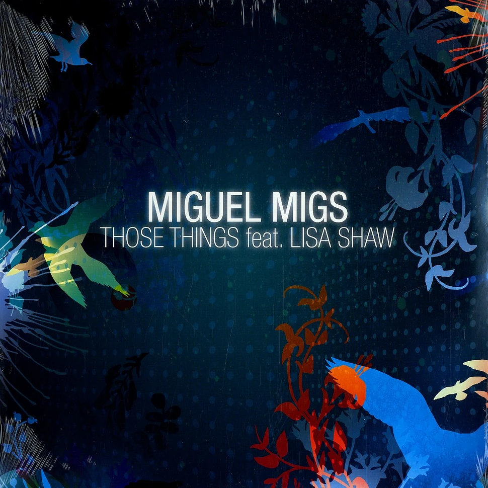 Miguel Migs - Those things feat. Lisa Shaw