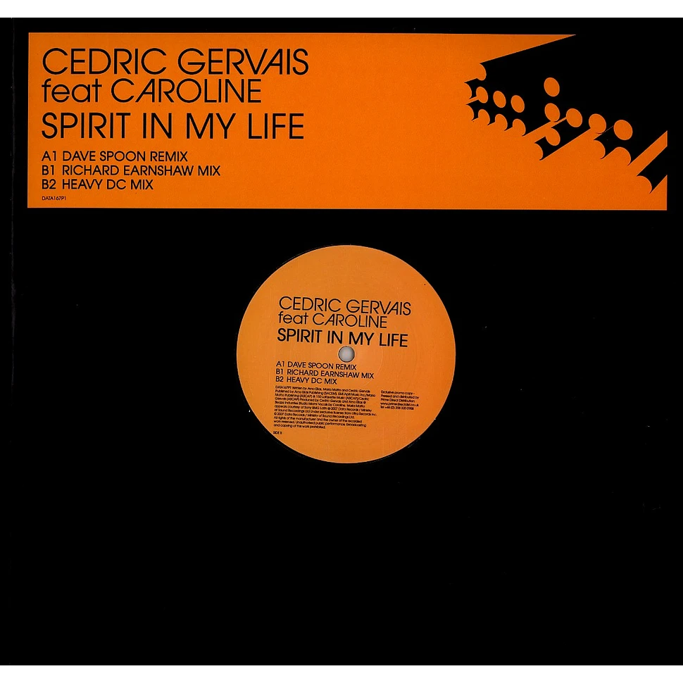 Cedric Gervais - Spirit in my life feat. Caroline