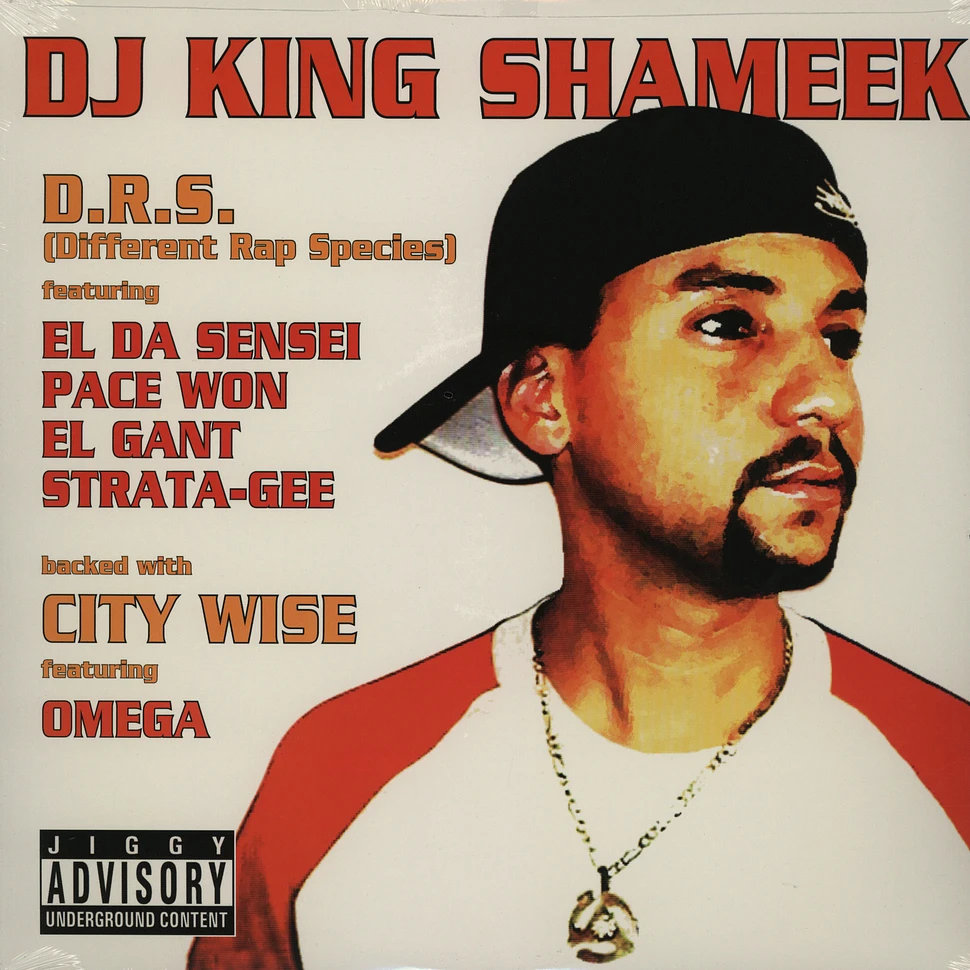 DJ King Shameek - D.r.s. feat. El Da Sensei, Pace One, El Gant, Strata-Gee