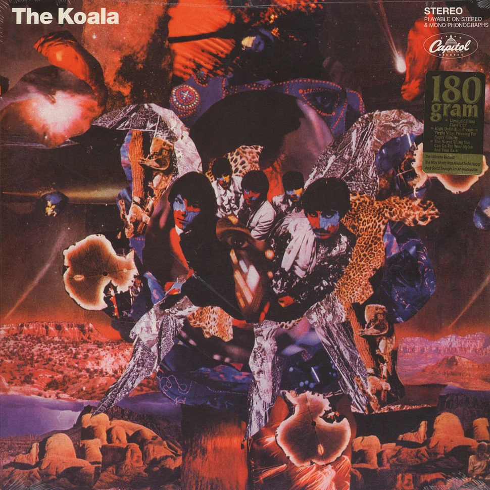 The Koala - The Koala