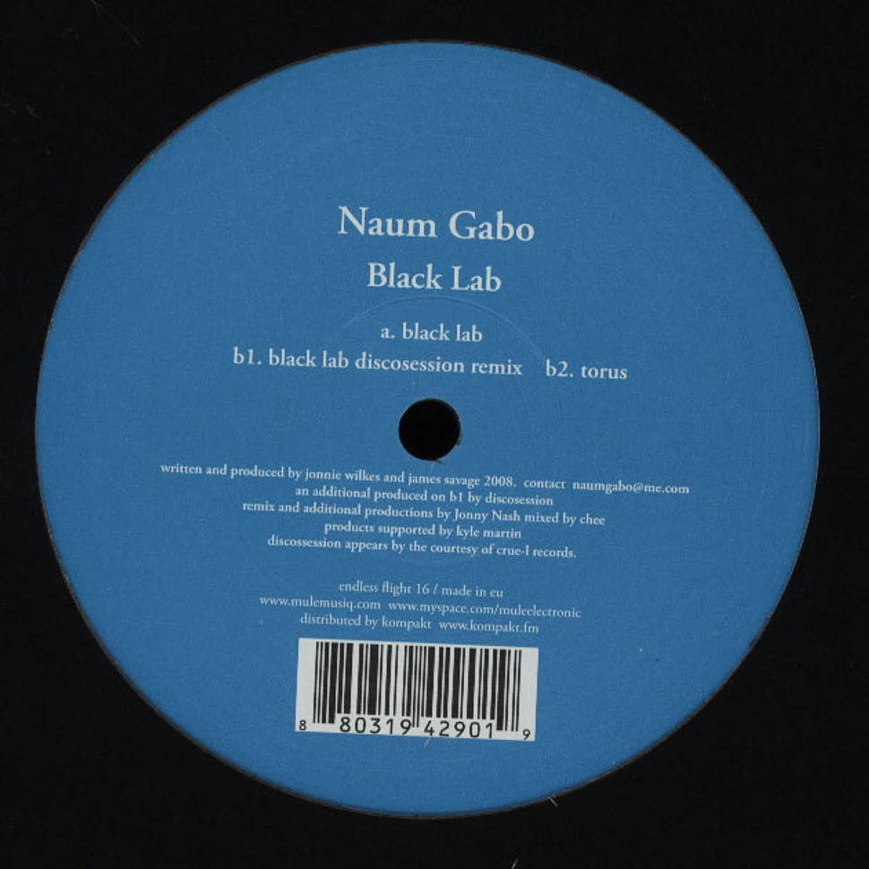 Naum Gabo - Black Lab
