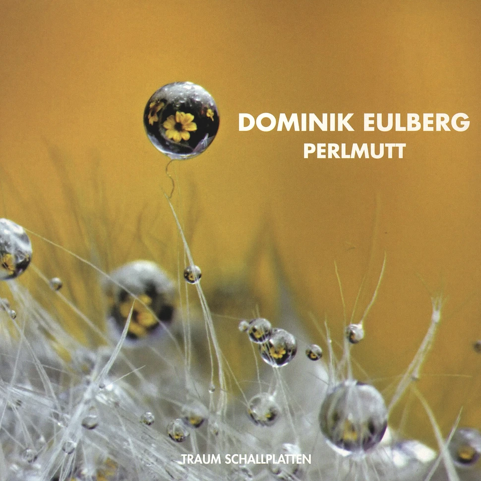 Dominik Eulberg - Perlmutt