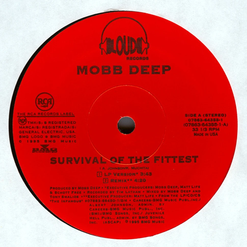 Mobb Deep - Survival Of The Fittest