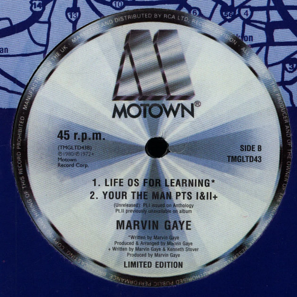 Marvin Gaye - Your all i need to get by