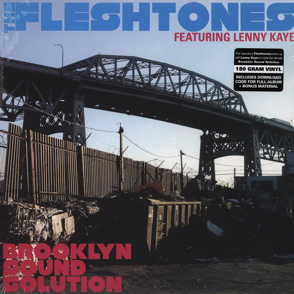 The Fleshtones - Brooklyn Sound Solution