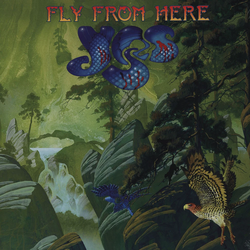 Yes - Fly From Here
