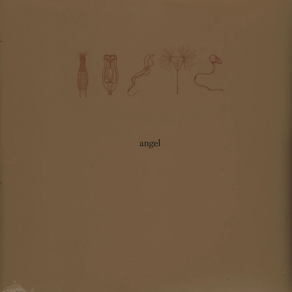 Angel - 26000