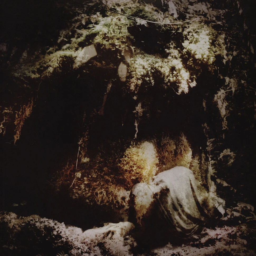 Wolves In The Throne Room - Celestial Lineage