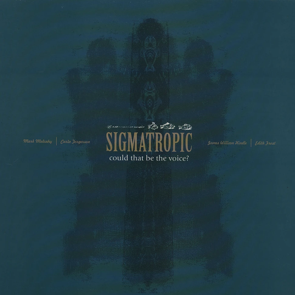 Sigmatropic - Could That Be The Voice