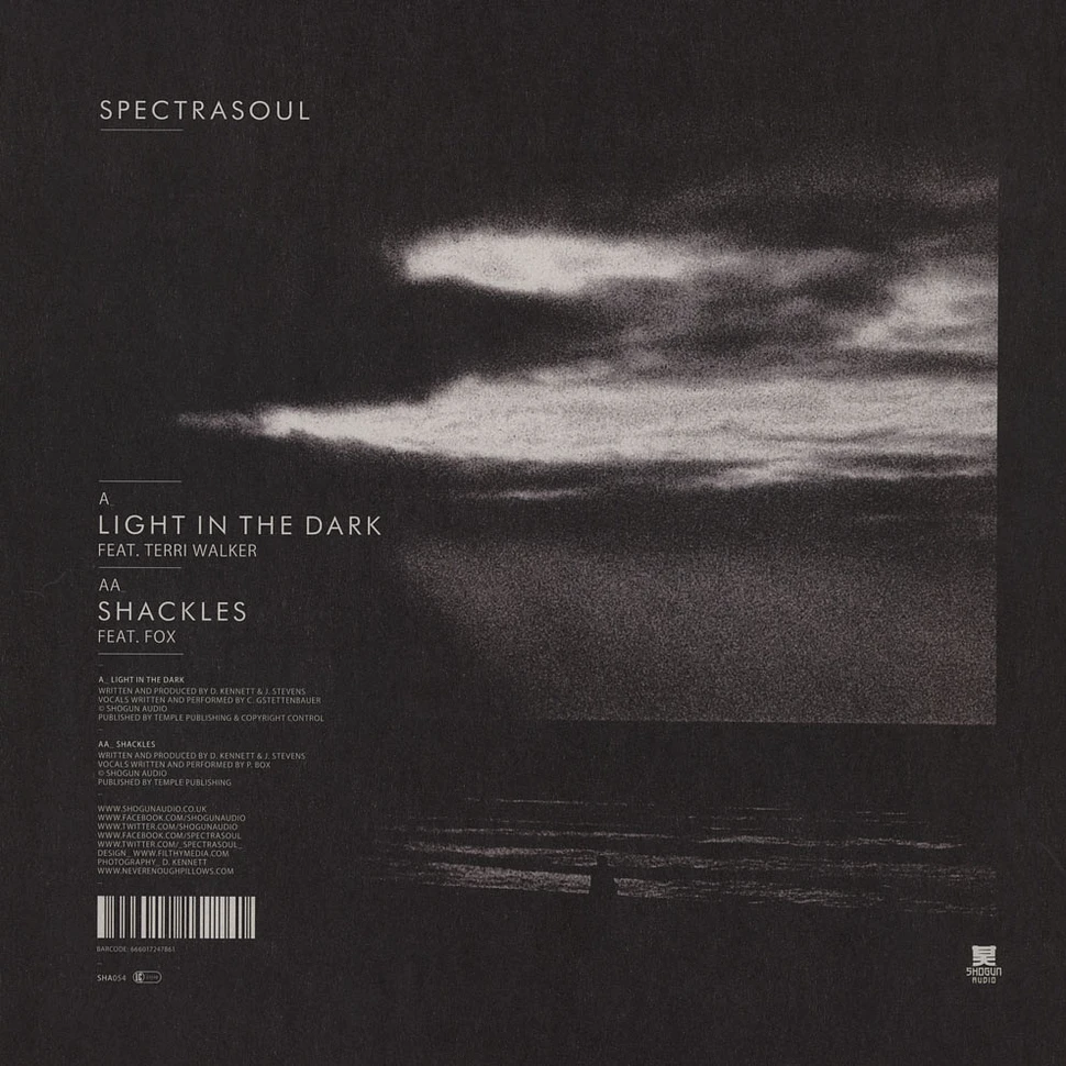 Spectrasoul - Light In The Dark feat. Terri Walker