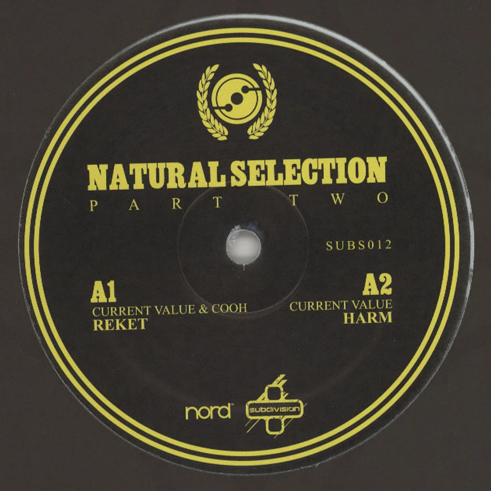 Current Value & Cooh - Natural Selection Part 2