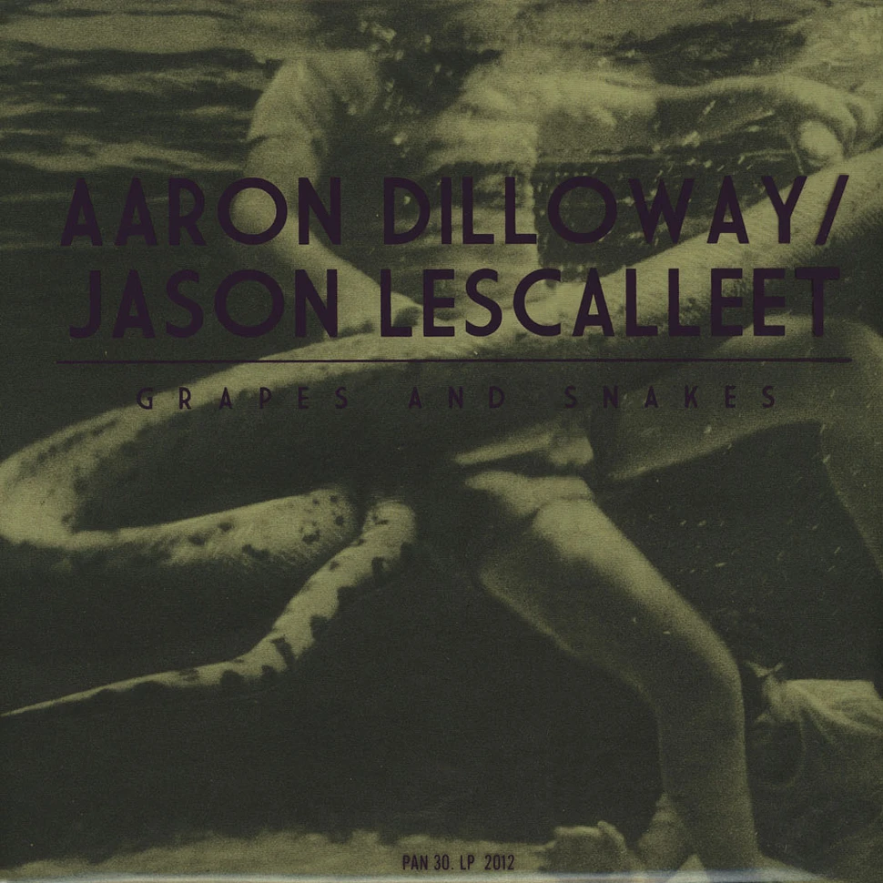 Aaron Dilloway of Wolf Eyes & Jason Lescalleet - Grapes And Snakes