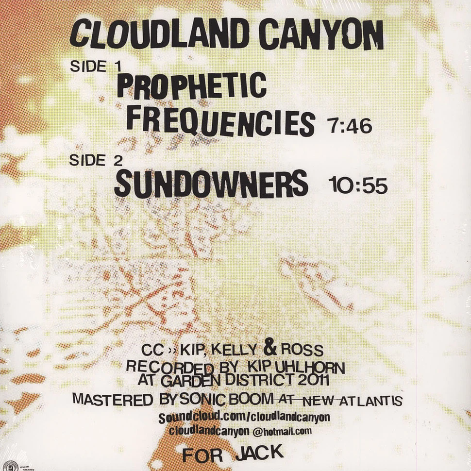 Cloudland Canyon - Prophetic Frequencies