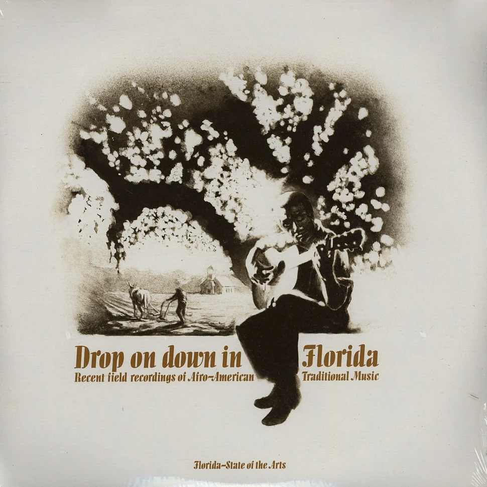 V.A. - Drop on Down in Florida: Recent Field Recordings of Afro-American Traditional Music