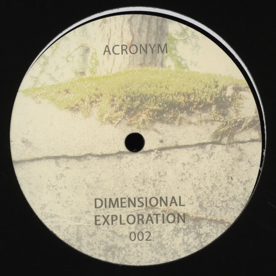 Acronym - Dimensional Exploration 002