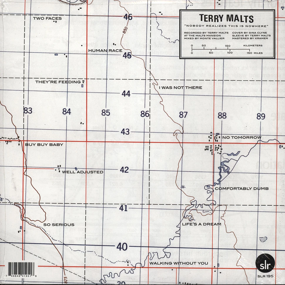 Terry Malts - Nobody Realizes