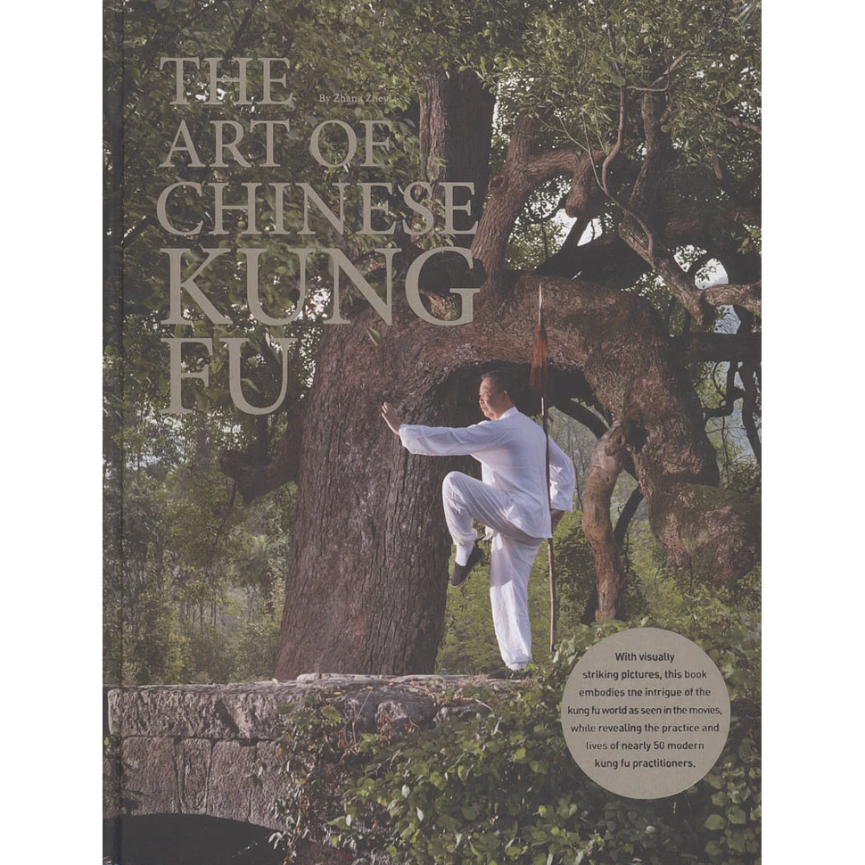 Zhang Zheyi - The Art of Chinese Kung Fu